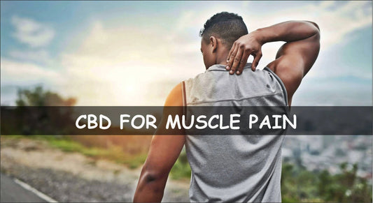 How to Use CBD for Muscle Soreness and Workout Recovery