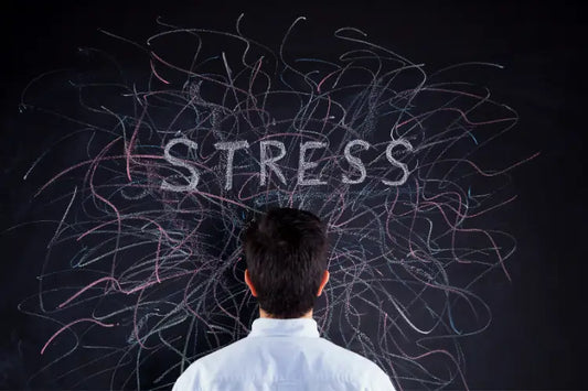 Top 5 CBD Products for Effective Stress Relief: A Comprehensive Guide