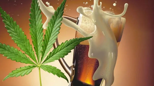 Why Choose CBD Over Alcohol: The Health Benefits and Risks