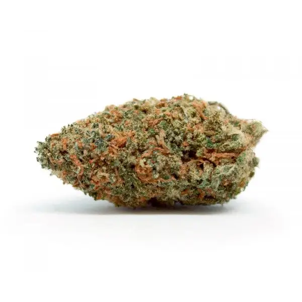 CBD Cannabis Indoor WILDWOOD Flowers (Lemonade Haze)